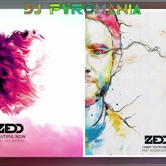 Zedd Ft. Selena Gomez & Jon Bellion - Want You To Know, We're Beautiful Now (Mashup).m4a