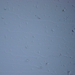 Ensiferum-Burning Leaves Solo Cover