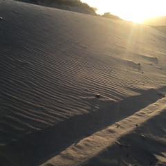 Summer Sun