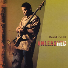 David Dyson - Unleashed