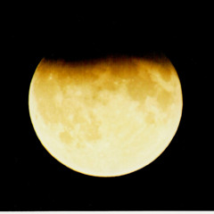 Miracle Of Love - Swans