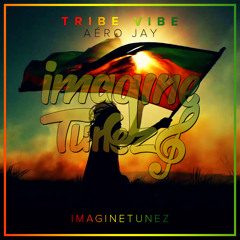 Aéro Jay - Tribe Vibe