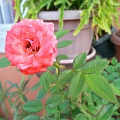 "Breathe Out The Sun Won't Shine" (Unfinished Demo)