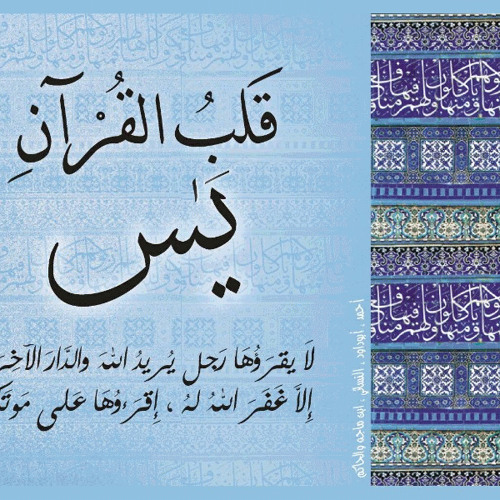 سورة يس.. تامر تيمور