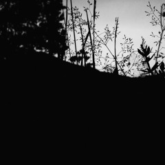 Kylie Minogue - Can T Get U Out Of My Head( Turbofox Remix )