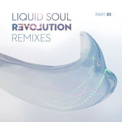 Liquid Soul - I See The Spirit (Protonica Remix)