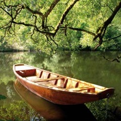 Beneath The Hollow Tree