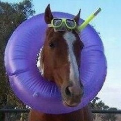 Cheshire kat : HuNnykat & RaTtles sessions 5/1/15