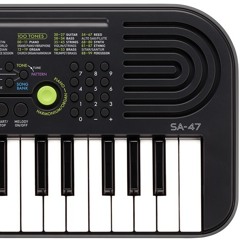 Time travel (CASIO SA-47)