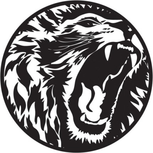 V.I.V.E.K – Guidance (cut)