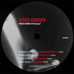 Jesus Gonsev - Honey Bunny (Alvaro Hylander Remix)