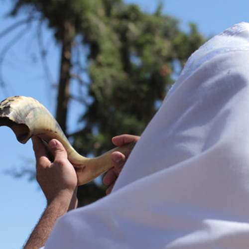 Stream What Is A Shofar And What Is Its Significance? CLM by Curt Landry Ministries Listen