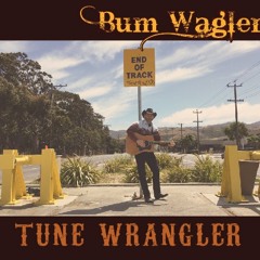Tune Wrangler - 2015