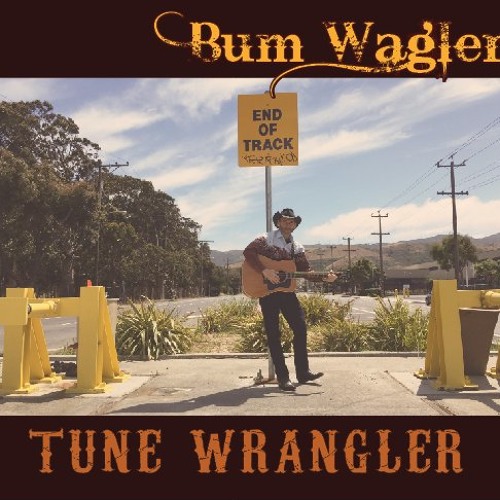 Tune Wrangler - 2015