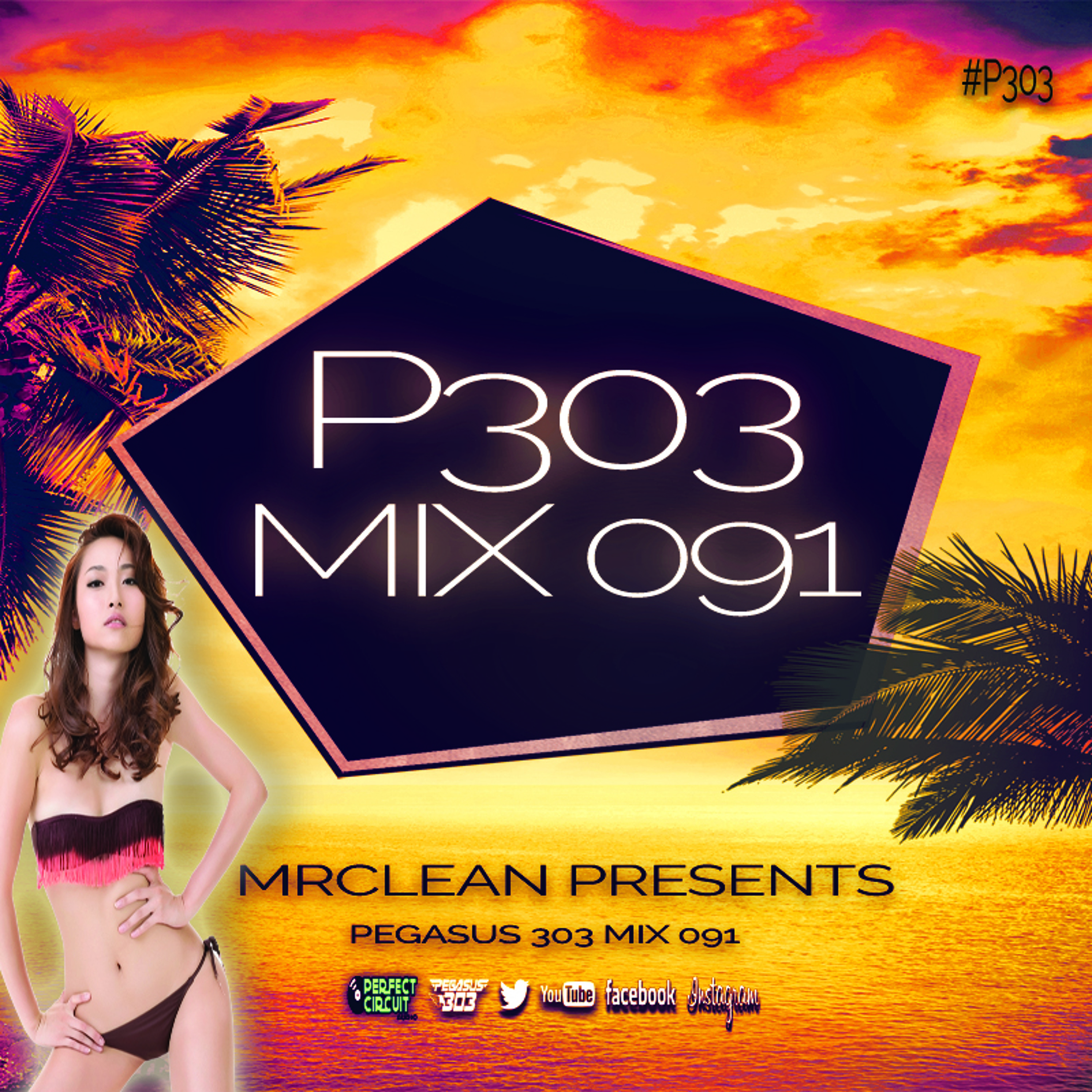 Pegasus 303 (mrclean)