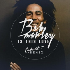 Bob Marley - Is This Love (Cobalt Remix)