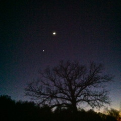 Gold Teeth, Or Pearly Whites