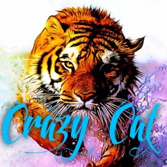 Crazy Faith Meow Mix