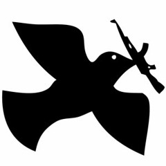 Guerra Social (Cata - Mrsonidoh!)