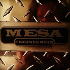 Dual Rectifier Cleans
