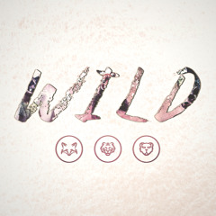 WILD - Back To You