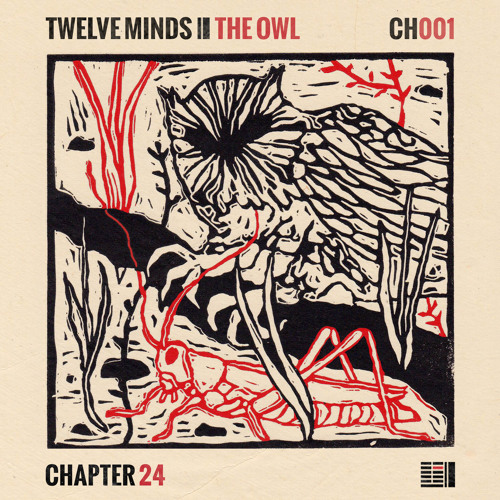 Twelve Minds - The Owl