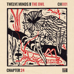 Twelve Minds - Rhino