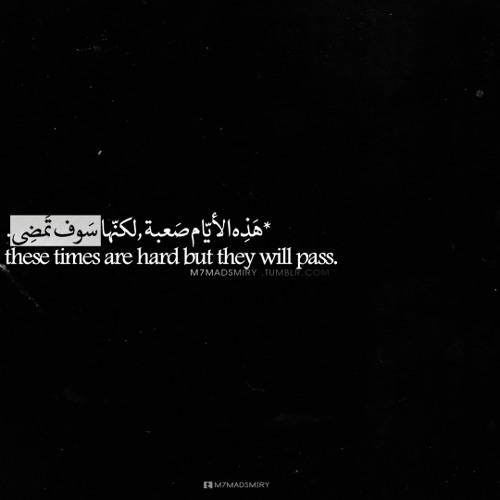 قصيده الممنوع المرغوب الشاعر محمد ابراهيم