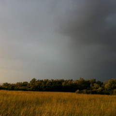 Bademah - Melancollie Riddim