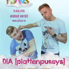 DIA- Plattenpussys Live @ JAAS 2015