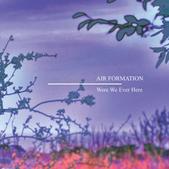 Air Formation - The Wasted Days