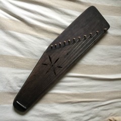 Augškojenieku polka kokle #2