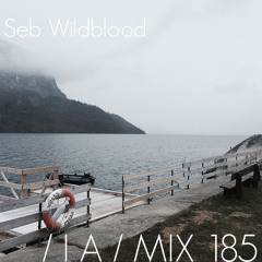 IA MIX 185 Seb Wildblood