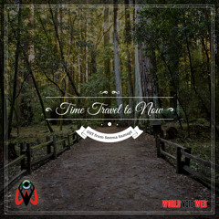 'Time Travel To Now' by World Void Web