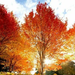 تعالوا و العبوا حولي