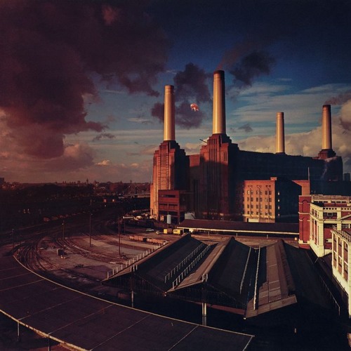 Dogs - Pink Floyd