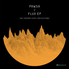PAWSA - 168 (Original Mix) [MOOD]