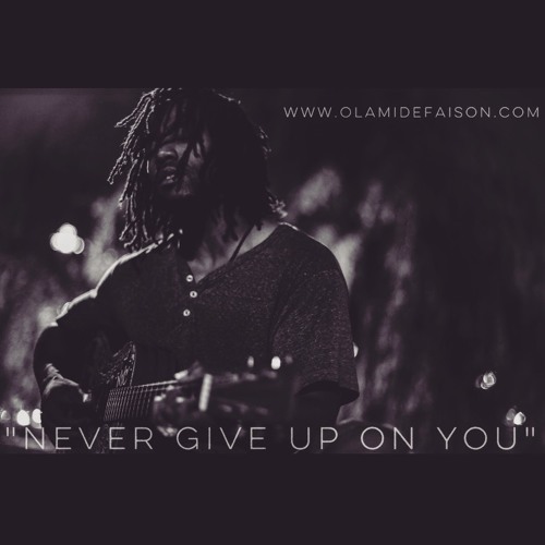 Never Give Up On You