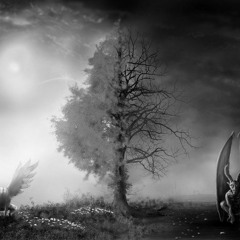 Sin titulo / 1073 - Fone - No King Crew  (Sr.Rivero Prod.)