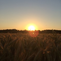 Telharmonic sunset