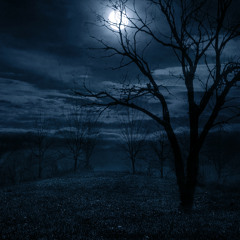 Troublesome (Pardon the Introduction)