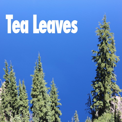 Stream Tea Leaves by Proof of People Listen online for free on SoundCloud