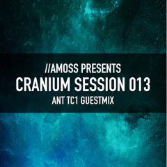 Subtone - Proverbial (Amoss Podcast 013 Mixslice)