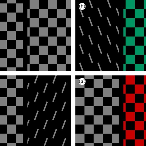 Parallel Asynchronous Phase Rates (disquiet0188-complexcomplex)