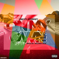 Stormzy x C Biz - On My Own - [Produced By @WildBoyAce]