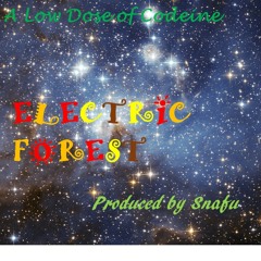 Low Dose of Codeine - LTP Summer - 15 Electric Forest (prod. Snafu)