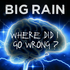 Big Rain - Where Did I Go Wrong (REMIX)