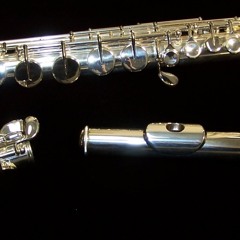 Flute and alto flute improvisation