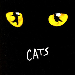 Cats - MEMORY - Instrumental