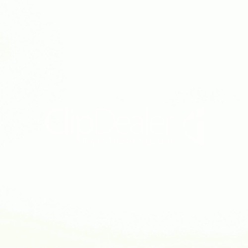 Little White Feathers (Guitar Loop)